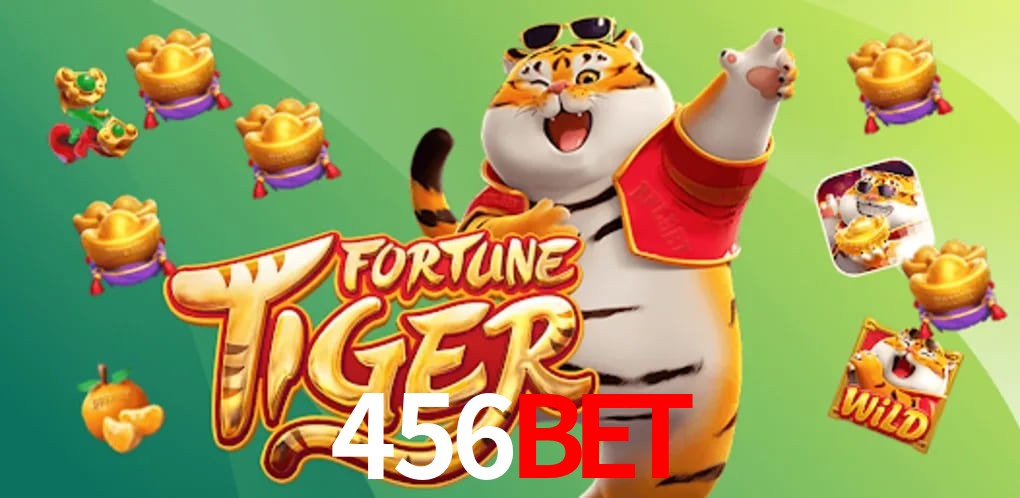 Experiência VIP 456bet